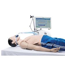 Ventilation Feedback Simulator